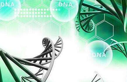 單細胞測序分析技術在轉化醫學領域的應用講解介紹